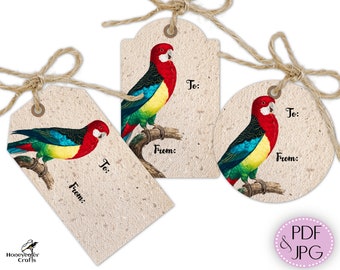 Bird printable gift tags, Eastern Rosella, Avian themed present labels set, gift wrapping cut outs, digital download