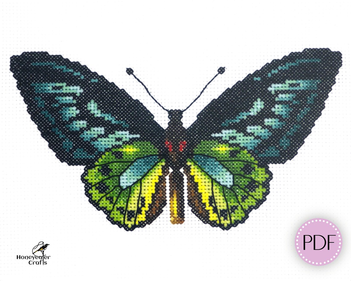 Butterfly Counted Cross Stitch Pattern Green Birdwing Etsy