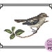 see more listings in the Birds Cross Stitch section