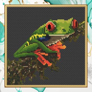 Könnte beinhalten: Ein grüner und roter Frosch mit großen, roten Augen sitzt auf einem Ast. Der Frosch sitzt auf einem Ast mit braunen und grünen Blättern. Der Hintergrund ist dunkelgrau.