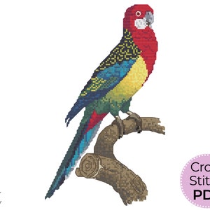 Ost Rosella Vogel Kreuzstich Stickvorlage, Stickdatei Australischer gebürtiger Papagei PDF digitaler download