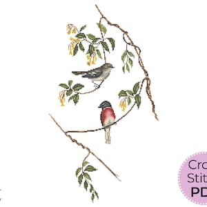 Robin cross stitch pattern PDF, Bird embroidery design gift, digital download, Printable chart