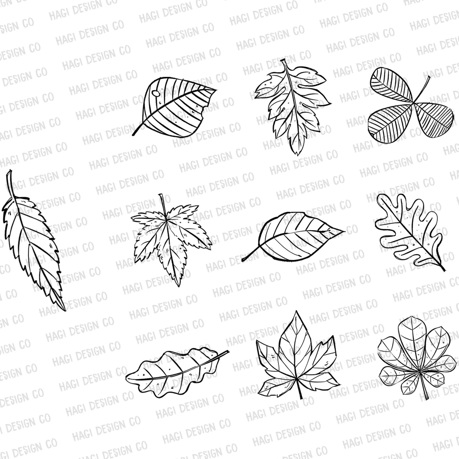 Autumn Leaf Outlines, Fall Leaves Clipart, Maple Leaves, Multicolored