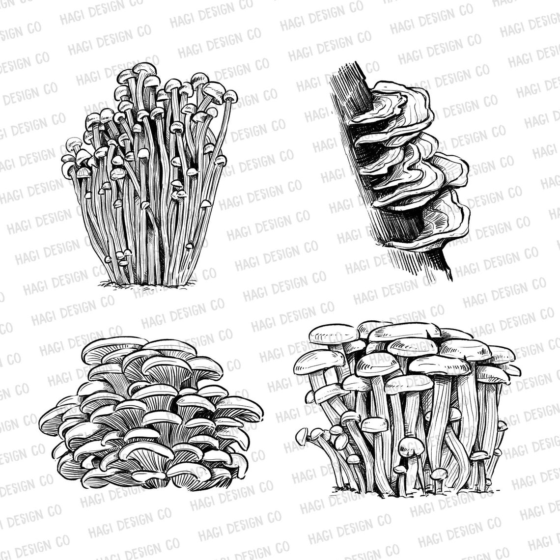 Sketch Mushroom Cliparts, Fungus, Truffle, Hand Drawn, Engraved