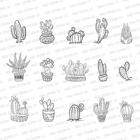 Fun variety of hand drawn cactus #paid, , #Paid, #AFFILIATE