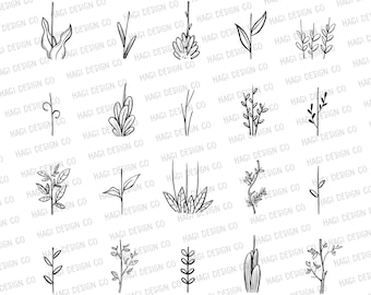 Plant Stem Outlines, Stem and Leaf Cliparts, Houseplant, Flower Stems, Nature, Plants, Hand Drawn, Cute Cartoon Clip Art, Green Stems, PNG