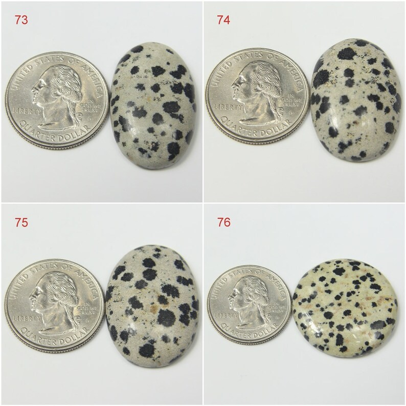 Natural Dalmatian Jasper Cabochon Cabochon Dalmatian Dalmatian Gemstone Stone For Pendant Dalmatian Gemstone Dalmatian Jasper