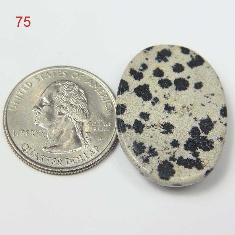 Natural Dalmatian Jasper Cabochon Cabochon Dalmatian Dalmatian Gemstone Stone For Pendant Dalmatian Gemstone Dalmatian Jasper