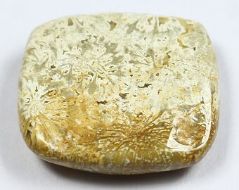 Natural Fossil Coral Cabochon - Smooth Fossil Coral - Loose Gemstone Cabochon - Handmade Fossil Coral Cabochon - Gemstone