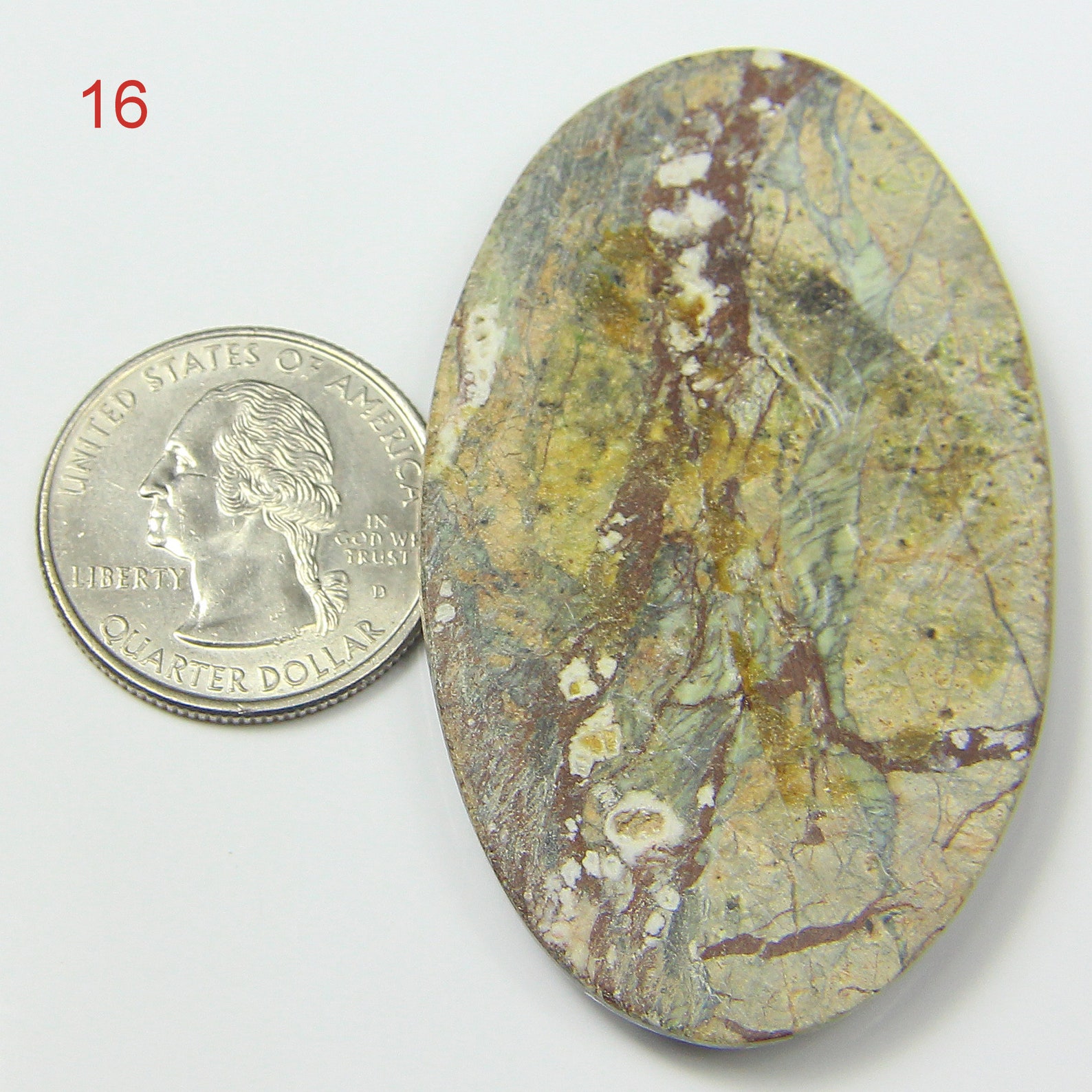 zebra jasper stone meaning zebra jasper stone meaning