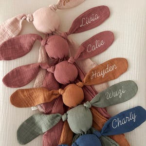 May include: A collection of soft, plush bunny toys in various colors, each with a name embroidered on one ear. The bunnies are in shades of pink, orange, green, and blue. The names include Juliette, Livia, Calie, Hayden, Wuzi, and Charly.