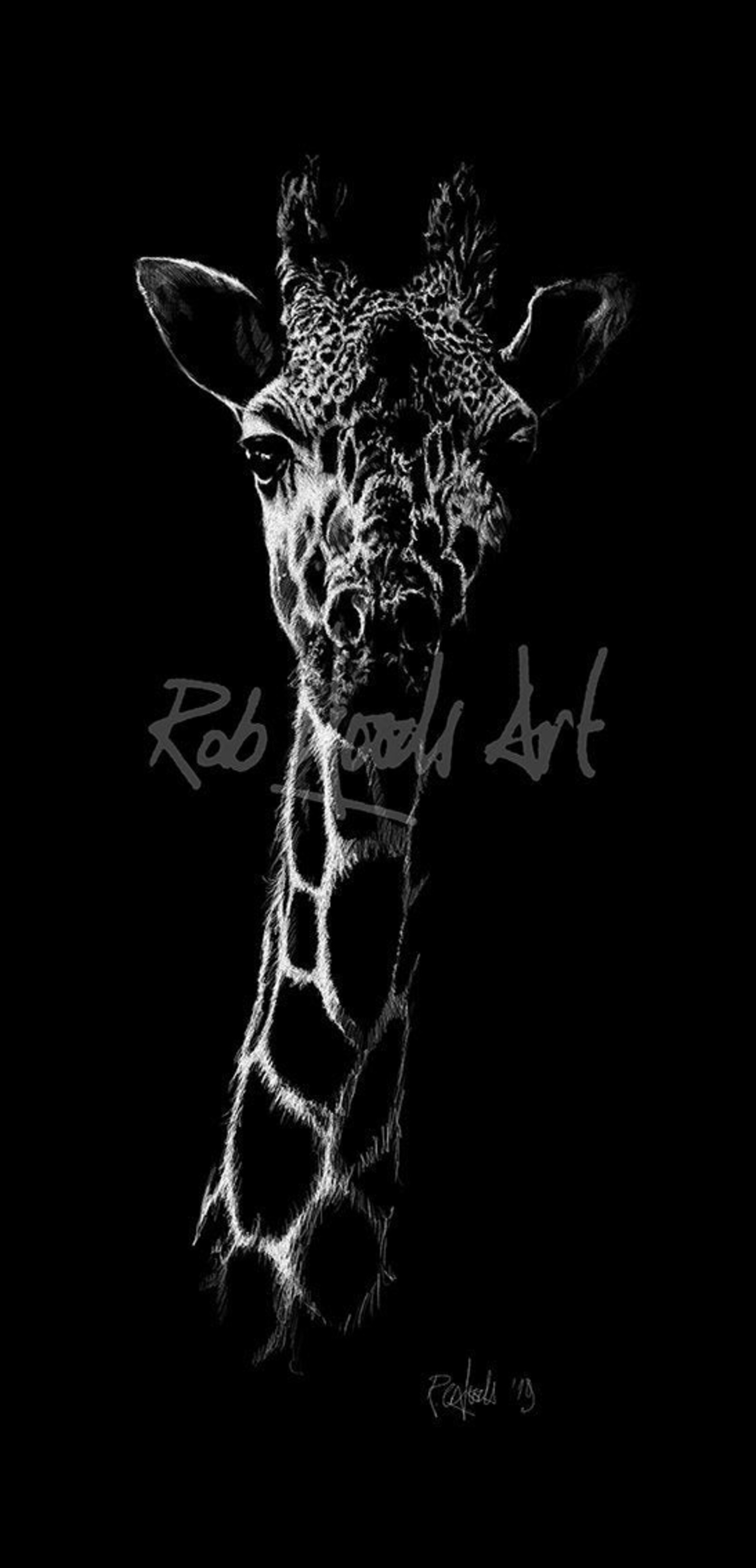 Giraffe in Black and White Etsy