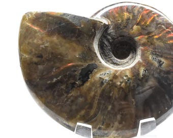 Red Flash Fire Spiral Ammonite Fossil Shell Natural 88mm 185g Iridescent Sparkling Fossilized Ammolite Collectible Mineral Décor Specimen