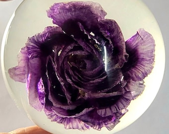 Real Purple Carnation January Birth Month Flower in Lucite Resin Specimen 60mm Paperweight Anniversary Wedding, Valentine, Mother's Day Gift