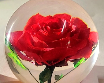 6 Pieces Pressed Flower Paperweight Resin Paperweights For Desk Real