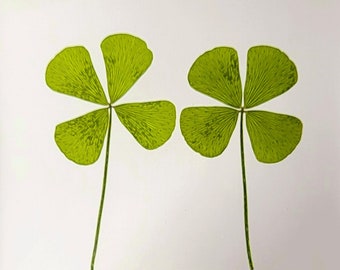Real Pair Four Leaf Clovers in Crystal Clear Lucite Resin 74mm St. Patrick's Day "Lucky Leaf" Gift Paperweight Décor Display Specimen Block