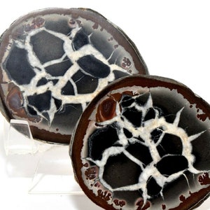 Natural Septarian Dragon Stone Geode Pair Polished Small 52mm 525ct Collectible Gemstone Nodule Halves Crystal Mineral Décor Specimen