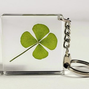 May include: A four-leaf clover pressed inside a clear square keychain with a silver metal ring and chain. The keychain is about 1 inch square and is next to a 1 inch cube for size reference.