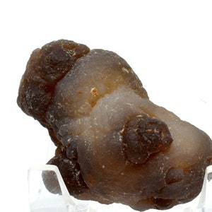 Lovely Dark "Chocolate" Chalcedony Botryoidal Globular Grapes Cluster Rough Natural 43mm 150ct Gemstone Crystal Mineral Formation Specimen