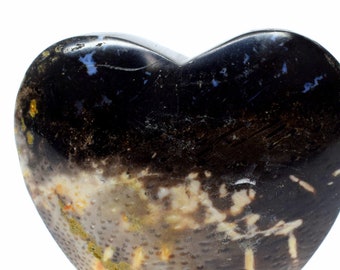 Lovely Palm Tree Petrified Wood Carved into Heart Polished 44mm 155ct Natural Fossilized Palmoxylon Agate Gemstone Crystal Mineral Specimen