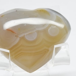 Banded Carnelian w/ Dendrite Carved Heart Polished 44mm 200ct Natural Orange White Chalcedony Agate Gemstone Crystal Mineral Décor Specimen