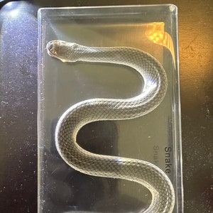 May include: A preserved snake specimen in a clear rectangular display case. The snake is dark grey with a scaled pattern. The text "Snake" is visible on the case.