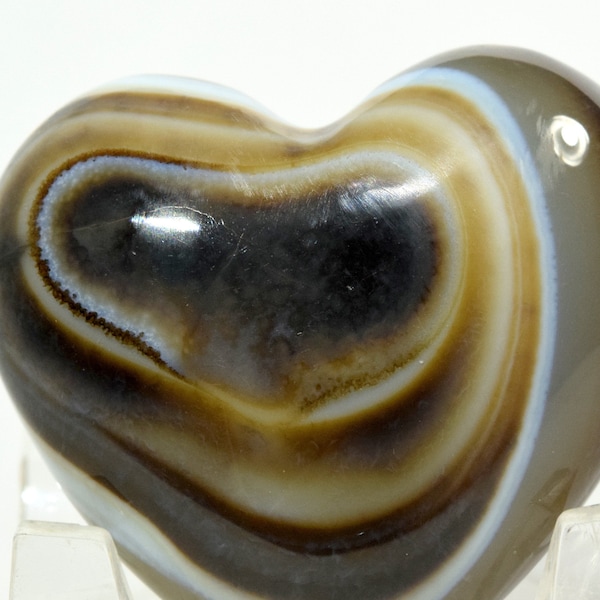 Banded Multicolor Chalcedony Agate Puffy Heart Polished Small 43mm 250ct Natural Fortification Gemstone Crystal Mineral Collectible Specimen