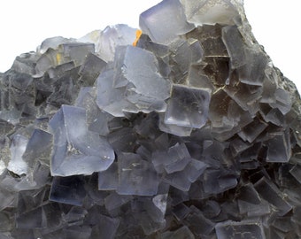 May include: A cluster of gray and blue fluorite crystals with a cubic shape. The crystals are arranged in a random pattern and have a glossy finish.