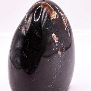 May include: A polished, dark brown stone with a smooth, rounded form. The stone has a glossy finish with lighter brown and white inclusions. The shape is egg-like, suitable for display or collection.