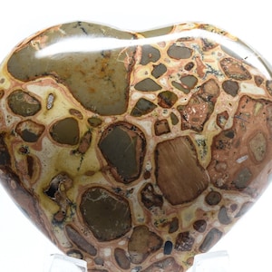Leopardite Jasper Carved Heart Polished 69mm 175g Natural Multicolor &quot;Leopardskin&quot; Collectible Gemstone Crystal Mineral Décor Specimen