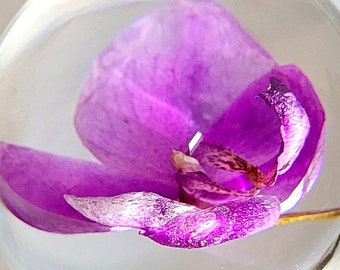 Vera orchidea viola, mese di nascita di ottobre, fiore in campione di resina cristallina di lucite, fermacarte da 66 mm, anniversario, matrimonio, regalo di San Valentino