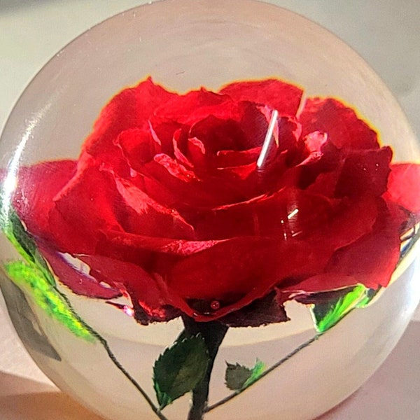 Real Red Rose June Birth Month Flower in Clear Lucite Resin Specimen 60mm Paperweight Anniversary, Wedding, Valentine, Mother's Day Gift