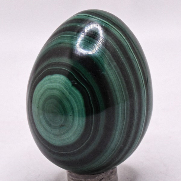 Layered Dark Green Malachite Carved Egg Polished 51mm 160g Natural Banded Collectible Gemstone Crystal Mineral Décor Specimen