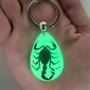 May include: A glow-in-the-dark scorpion keychain. The scorpion is encased in a clear teardrop-shaped resin pendant attached to a silver key ring.