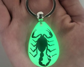 May include: A glow-in-the-dark scorpion keychain. The scorpion is encased in a clear teardrop-shaped resin pendant attached to a silver key ring.