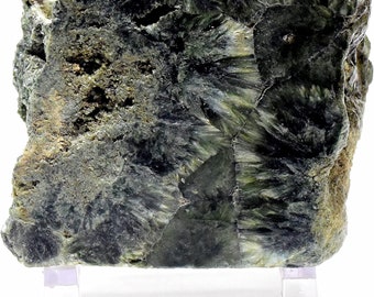Seraphinite / Green Clinochlore Rough Stone Natural Unpolished 77mm 1275ct Collectible Rare Druzy Gemstone Crystal Mineral Décor Specimen