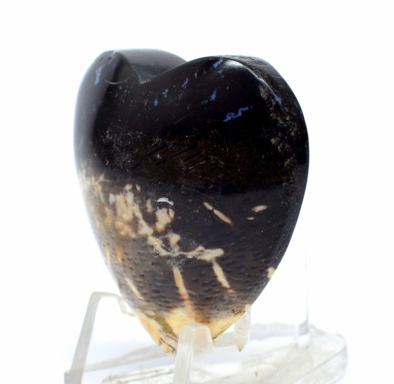 Lovely Palm Tree Petrified Wood Carved into Heart Polished 44mm 155ct Natural Fossilized Palmoxylon Agate Gemstone Crystal Mineral Specimen