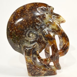 May include: A brown and gold ammonite fossil sculpture with intricate details. The fossil is carved into the shape of an elephant's head with its trunk raised.