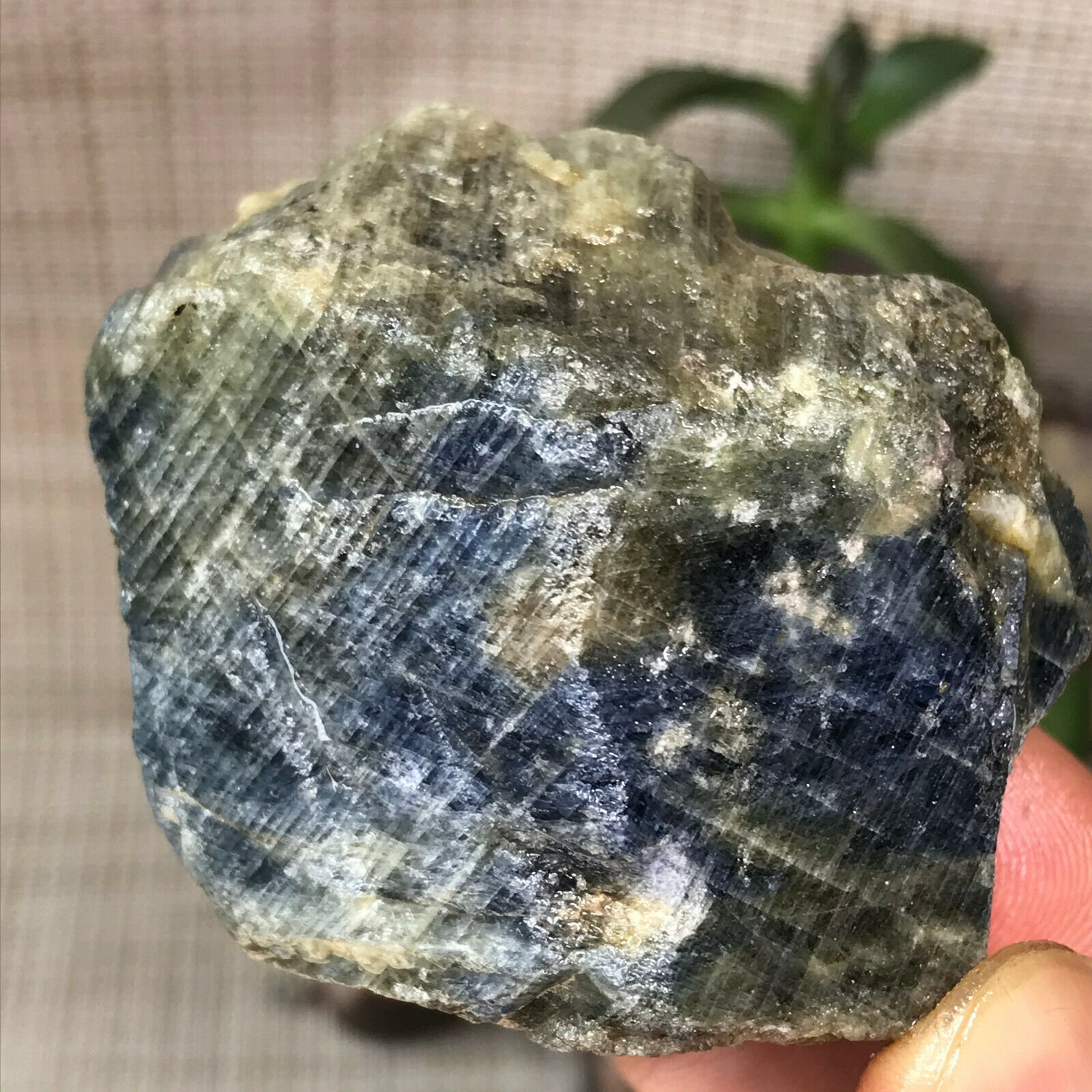 Blue Sapphire W/ Yellow Green Inclusions Rough Crystal Natural