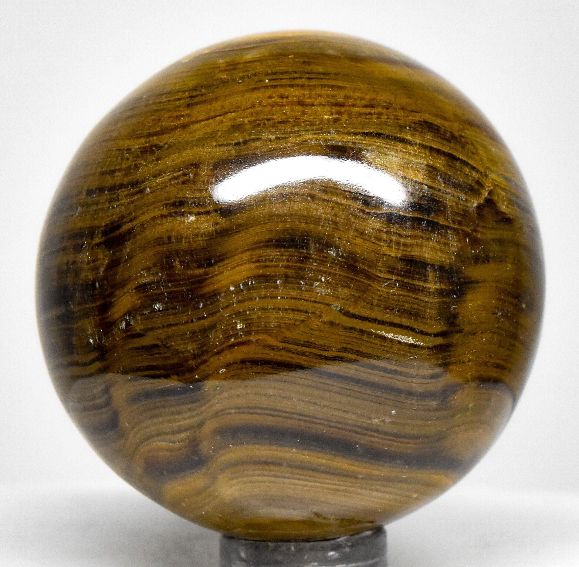 Golden Brown Banded Caramel