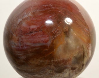 Multicolor Petrified Wood Carved Sphere Polished 68mm 430g Natural Fossilized Gemstone Crystal Mineral Collectible Décor Fossil Ball