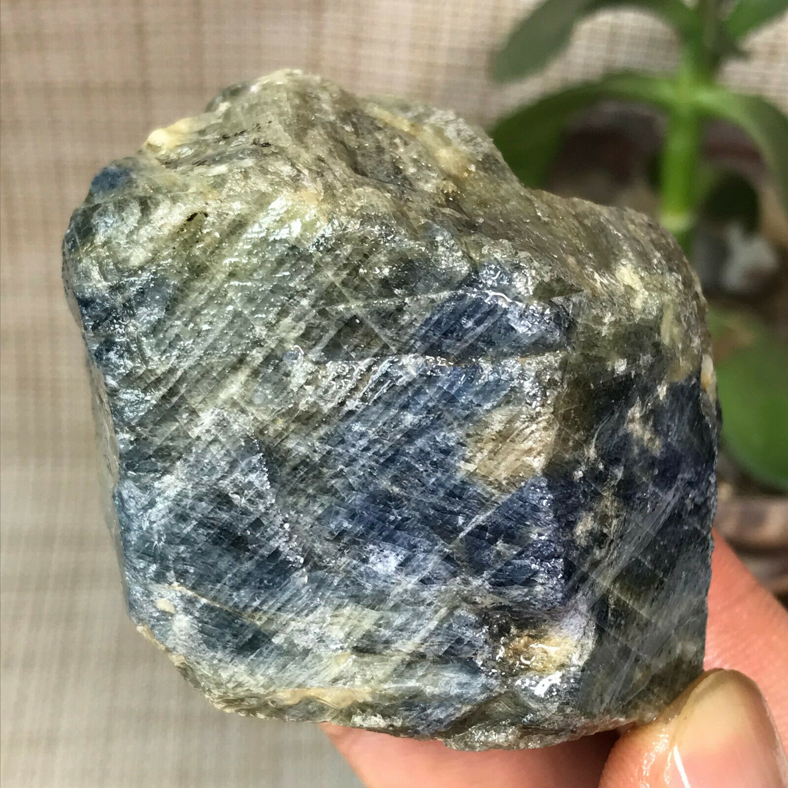 Blue Sapphire W/ Yellow Green Inclusions Rough Crystal