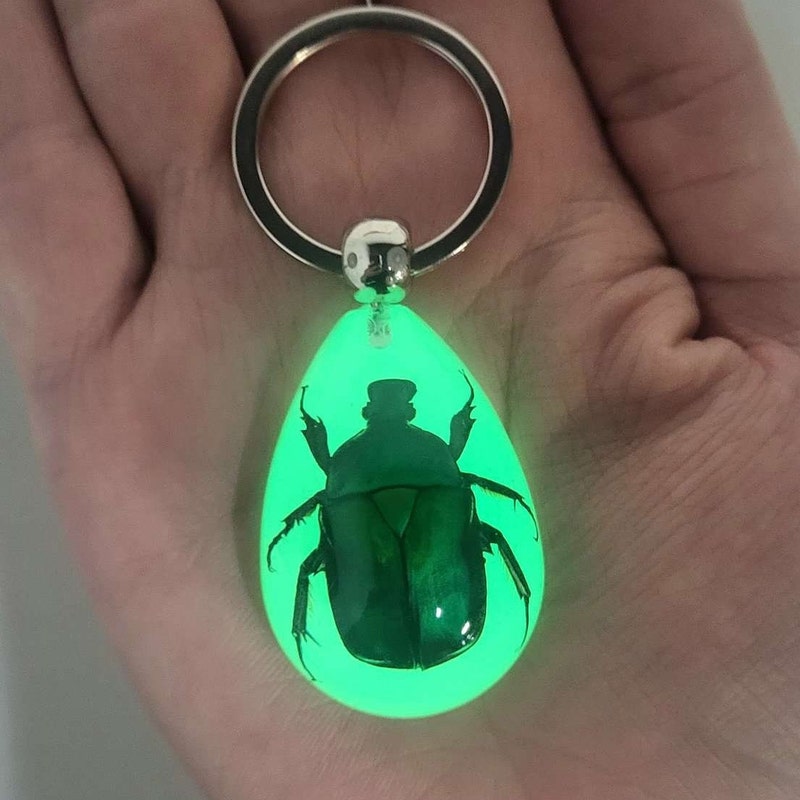 Insect Beetle Keychain - Etsy
