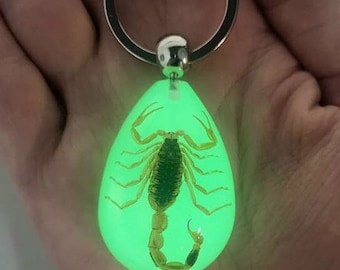 May include: A glowing green keychain pendant with a scorpion encased inside. The scorpion is a light brown color and is suspended in a teardrop-shaped resin. The keychain has a silver-colored ring.