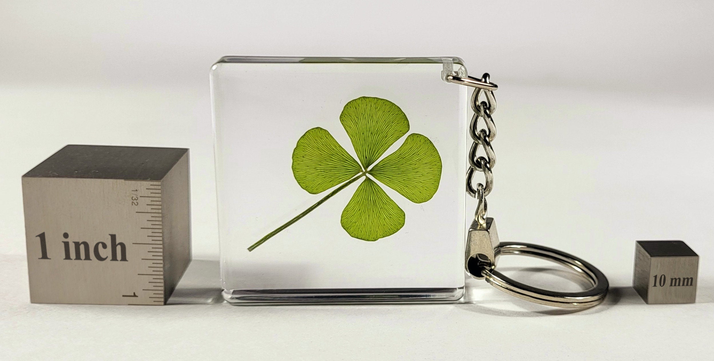 Herbarium Keychain - Etsy 