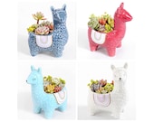 Llama Planter Planter Hanging planters Succulent pots Plant Pot Succulents Pots Pots for plants