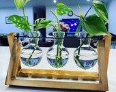 Propagation Station Propagation Vases Creative Vases Hanging Vases Glass vases