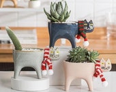 Christmas Cat Planter Pots Cat Succulent pots Plant Pots Succulents Pots Pots for plants Hanging planters
