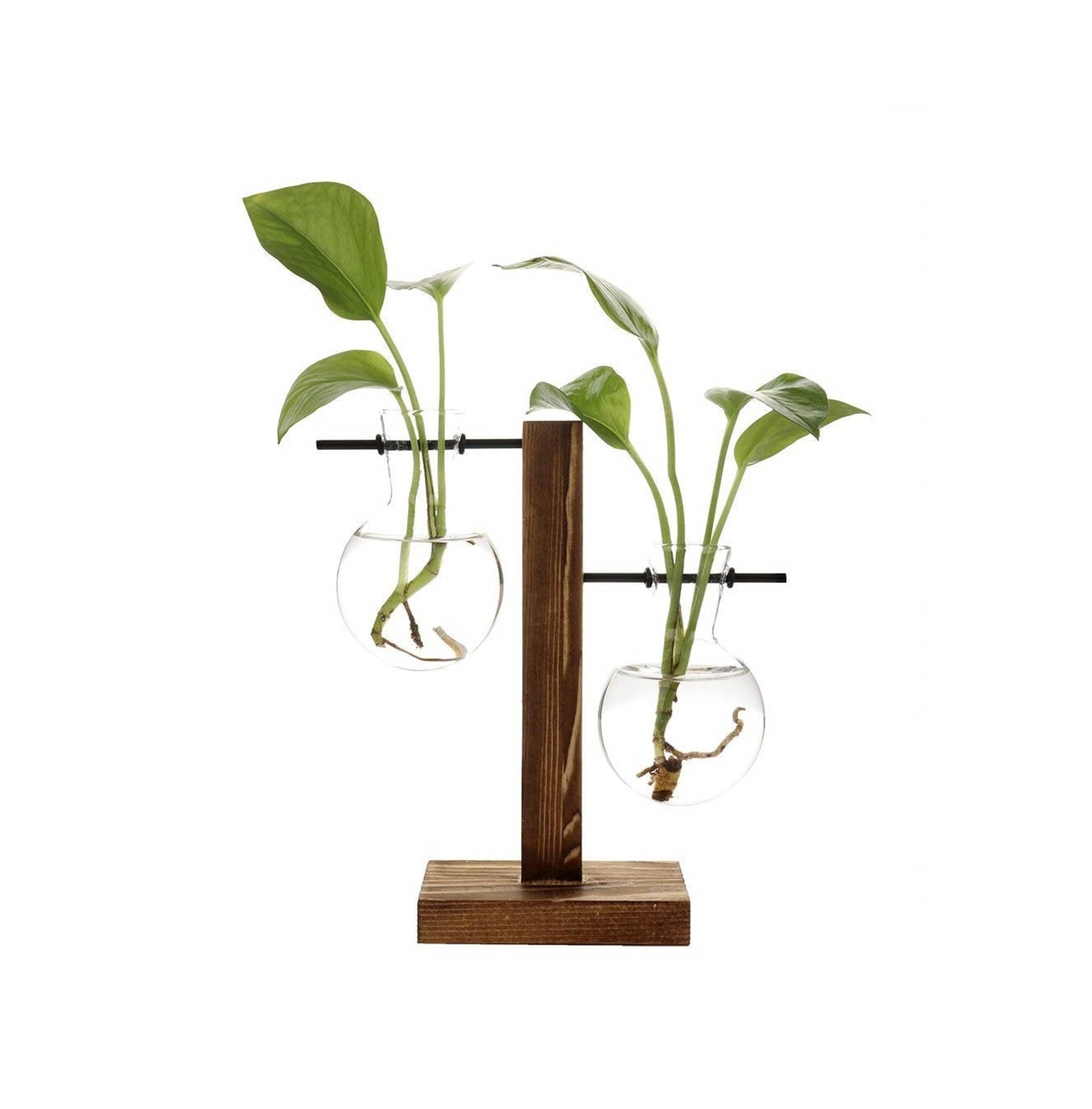 Propagation Station Propagation Vases Creative Vases Etsy