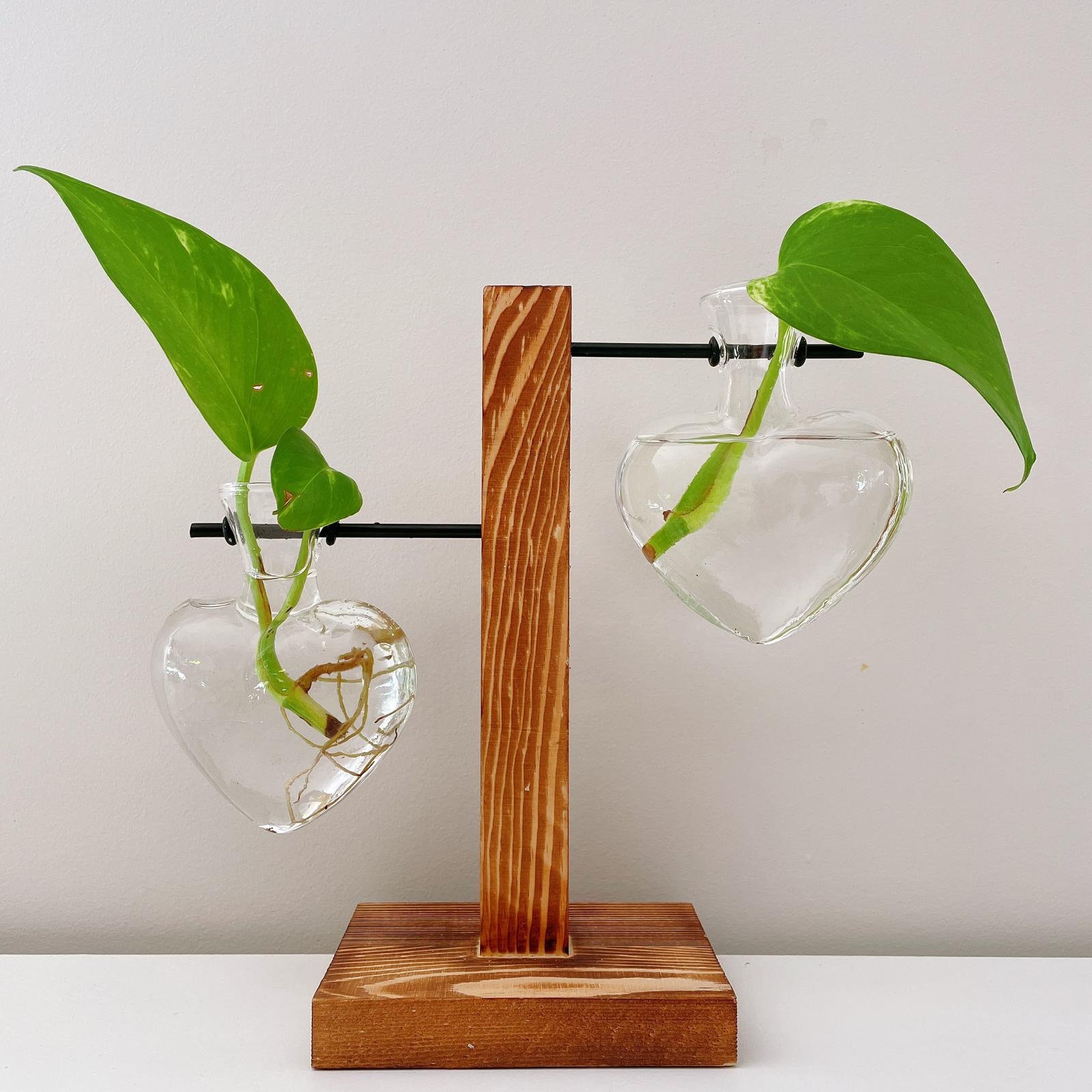 Propagation Station Propagation Vases Creative Vases Etsy